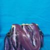Purse Bank - Image 2