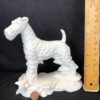 Airedale Terrier on Land