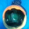 Small Hollow Pumpkin - Image 2