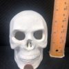 Light-up Scary Skull