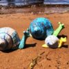Small Rainbow Snail - Image 3