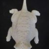 Horned Lizard - Image 3