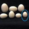 Small Standing Egg - Image 5
