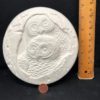 Round Owl Box