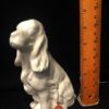 Sweet Springier Spaniel
