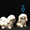 Pleasant Pretty Pup - Image 3