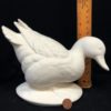 Happy Mallard Duck