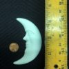 Lunar Magnet