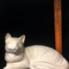 Realistic Cat