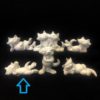 Mini Fun Cat - Image 2