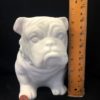 Realistic Bull Dog