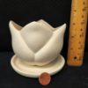 Small Tulip Planter