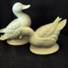 Happy Mallard Duck - Image 2