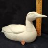 Large Loon