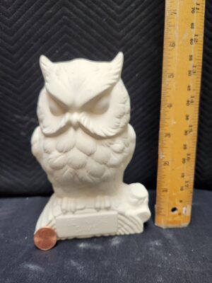 Wise Owl Bank