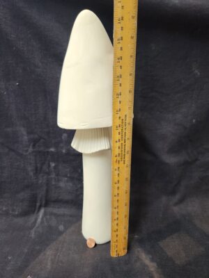 Tall Skinny Mushroom