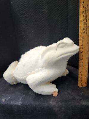 Large Garden Frog